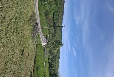 Casă cu 3 camere cu Teren 1000 Mp în Central - 3