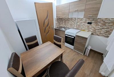 Apartament cu 2 camere semidecomandat în Podgoria - 5