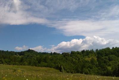 Teren de 3600 mp, în Aluniș - 9