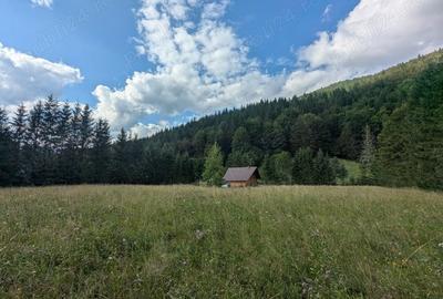 Teren de 9172 mp, în Pintic - 8