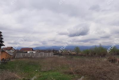 Teren intravilan 1300 mp de pe Valea Avrigului, drum asfalt - 7