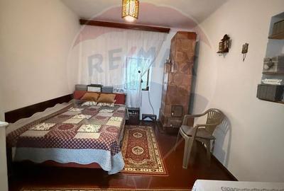 Casă cu 2 camere cu Teren 3669 Mp în Giurgița - 4
