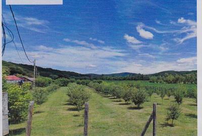 Teren de 2595 mp, în Hoghiz - 2