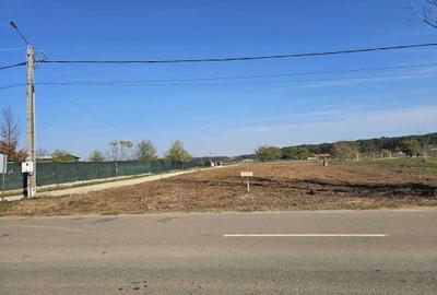 Spațiu comercial, în Izvorani - 5