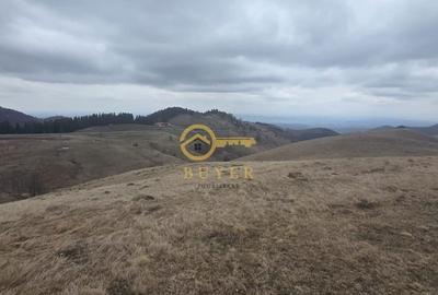 Spațiu comercial, în Rășinari