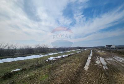 Teren Construcții intravilan de 34260 mp, în Dârvari - 4