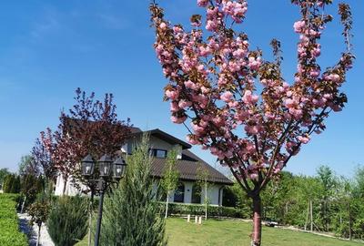 Casă cu 4 camere în Ulmi