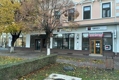 Spațiu comercial, în Jimbolia - 1
