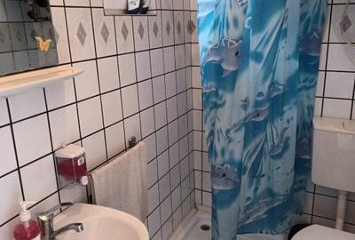 Casa 5 camere Rau Sadului - 10