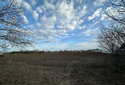 Casă cu 4 camere în Diosig - 1