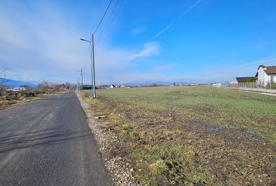 Teren intravilan - Str. Morarului, ideal pentru ansamblu rezidential - 3
