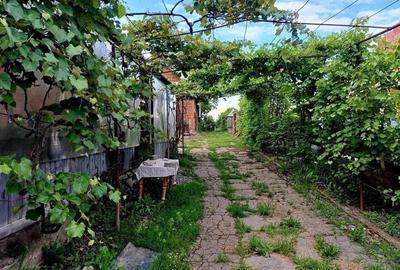 Casă cu 2 camere cu Teren 1200 Mp în Sângeorgiu de Mureș - 3