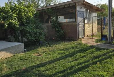 Casă cu 3 camere cu Teren 2700 Mp în Ciurari - 10