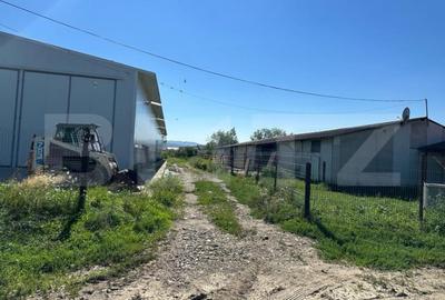 Spațiu comercial, de 700 mp, în Marginea - 3