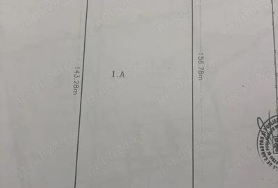 Otopeni - Str. Nicolae Grigorescu, 8.000 mp. teren langa Aqua Magic Otopeni - Str. Nicolae Grigorescu, 8.000 mp. teren langa Aqua Magic - 2