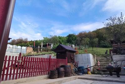 Vand casa in Cara? Severin Re?i?a - 6