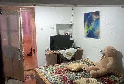 Casă cu 6 camere cu Teren 3100 Mp în Pișchia - 2