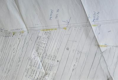 TEREN INTRAVILAN 30.000 MP ZONA AFUMATI CEL MAI MIC PRET 70 EURO/MP - 3