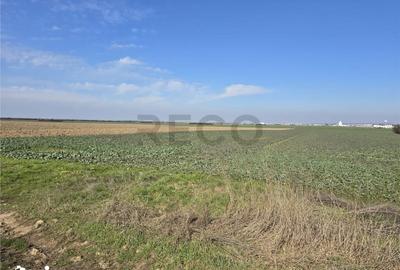 Teren de 22418 mp, în Calea Aradului - 4