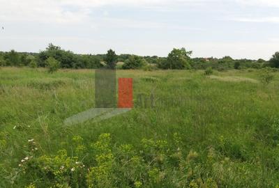 Teren Construcții intravilan de 3000 mp, în Sud - 15