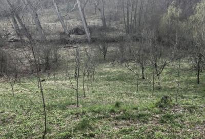 Casă cu 3 camere în Central - 5