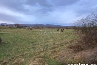 Caransebes, Teren Drept 5087 Mp. Ideal pt Casa 20 Euro Mp. Racovita - 2