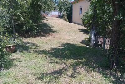 Casa de vanzare la ?ara, cu anexe ?i priveli?te superba ideala pentru familie sau casa de vacan?a - 9