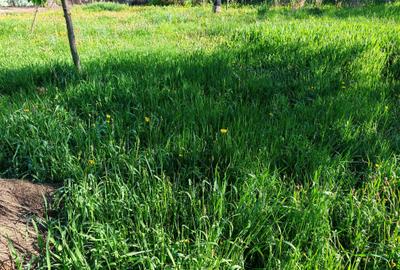 Teren Construcții intravilan de 500 mp, în Râșnov - 8