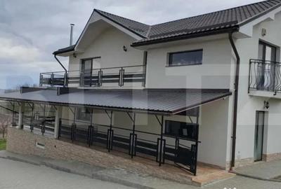 Casă cu 4 camere cu Teren 4472 Mp în Central - 3