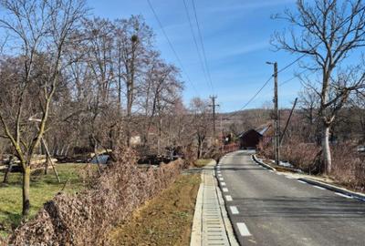 Somcuta Mare, central, 10 ari teren - 3