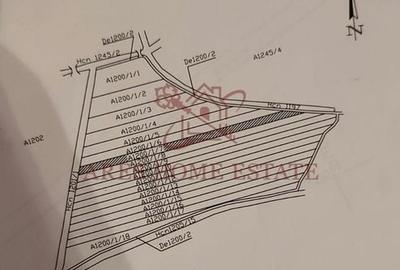 Teren 5.000 mp centura Calea Sagului- Freidorf. Comision 0 - 6