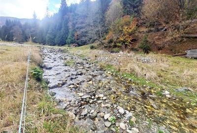 Teren intravilan panoramic 4.600mp,view iconic Piatra Craiului,oportunitate prem - 21