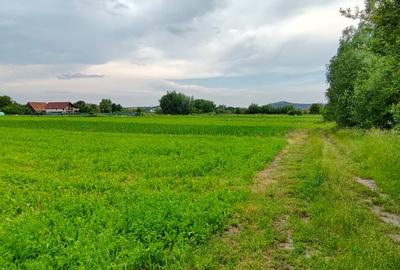 Teren Construcții intravilan de 4000 mp, în Hărman - 6