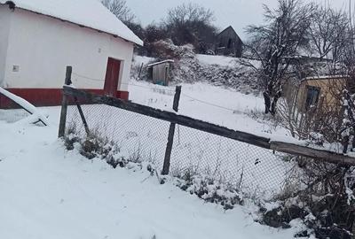 Casă cu Teren 450 Mp în Roșiori - 1