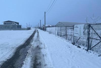 Teren de 3796 mp, în Ciorogârla - 3