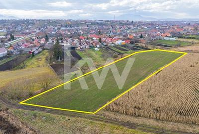 Teren 10000 mp in Extravilan, Bod, Brasov- COMISION 0% - 4