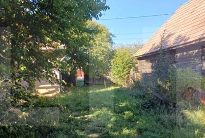 Casa taraneasca cu 3 camere, Turia Jos, - 15