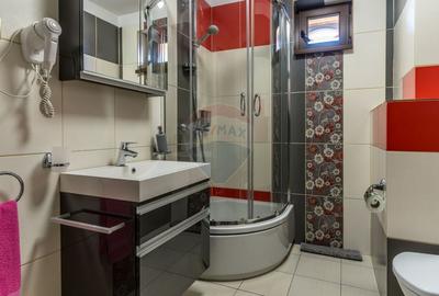 EXCLUSIV! Vila cu 7 camere, teren 7535mp, Risca, Comision 0% - 22