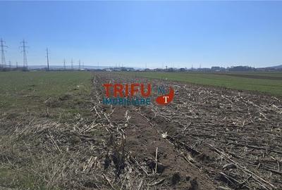 Teren intravilan cu apa si canalizare posibilitate de extindere - 8