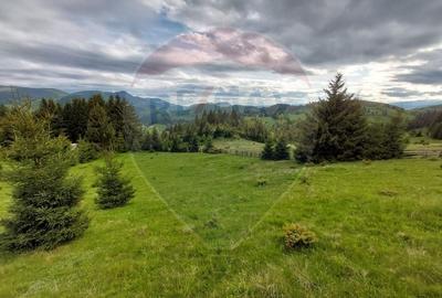 O fereastra catre cer - teren de vis in Fundata, la poalele Bucegilor - 13