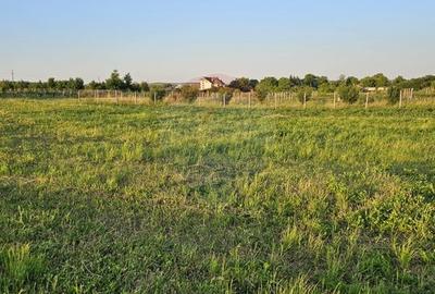 Teren Construcții intravilan de 1495 mp, în Dobreni - 30