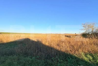 Teren de 1130 mp, în Vetiș - 2