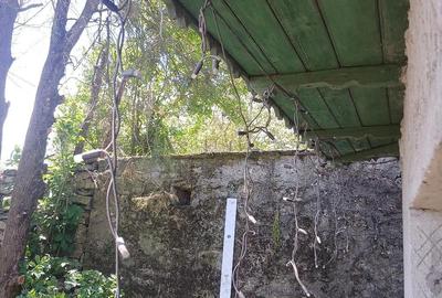 Casă cu Teren 2000 Mp în Cerchezu - 4