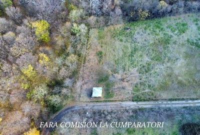 Teren agricol extravilan de 21437 mp, în Vlădesti - 10