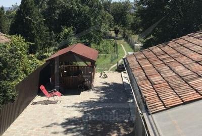 Casa 6 camere, cu teren 1160 mp, Dambul Rotund - 17