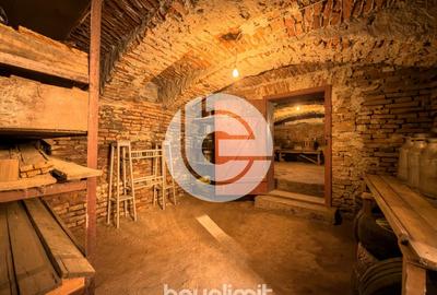 Casă individuală cu 4 camere cu Canalizare în Șelimbăr - 19