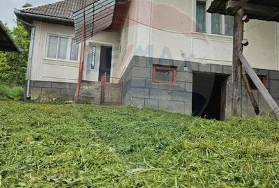 Casă individuală cu 2 camere în Iapa