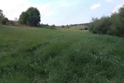 Teren de 4400 mp, în Mitocu Dragomirnei - 3