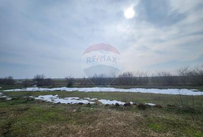 Teren Construcții intravilan de 34260 mp, în Dârvari - 5