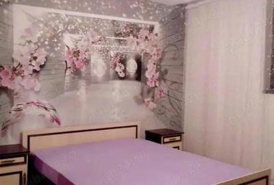 Apartament cu 2 camere decomandat în Frumoasa - 2